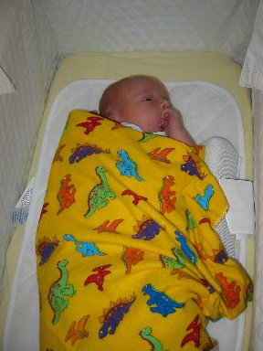 Day 9 - What, did you expect me to sleep in here?